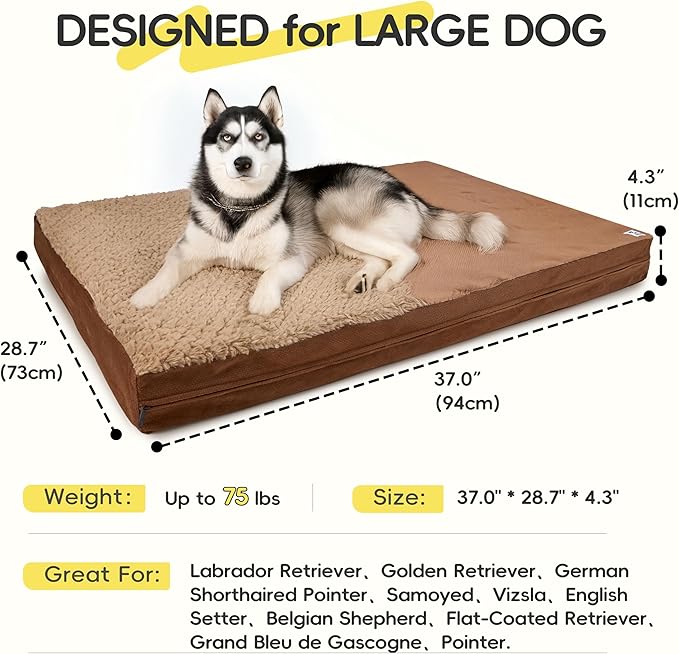 Sytopia Washable 37" Dog Bed for Large Dogs – Double-Sided Plush, Waterproof, Removable Cover, Thick Orthopedic Support, Durable Multi- Size Comfort Clearance Indoor Flat Dog Bed