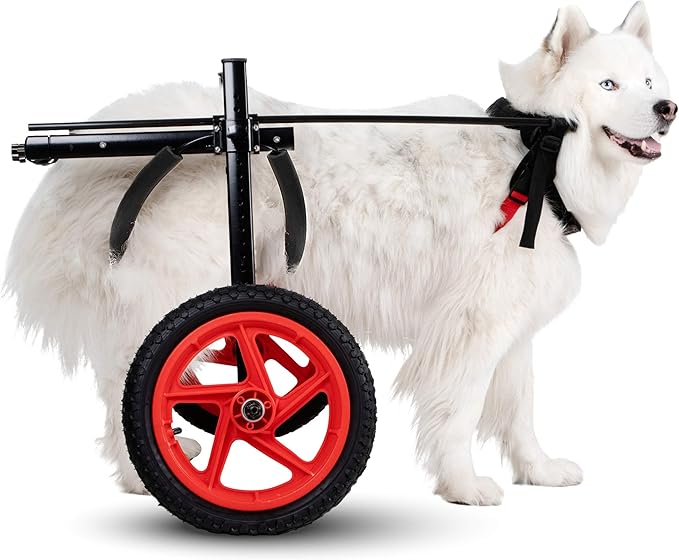 PRO Dog Wheelchair for Back Legs - Adjustable Dog Cart - Medium to XL Sizes - Hind Leg Wheels for Mobility & Healing