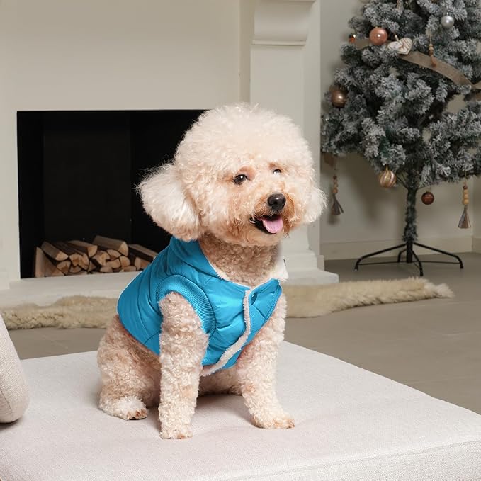 Fleece Lining Extra Warm Dog Hoodie in Winter for Large Dogs Jacket Pet Coats with Hooded,Light Blue XL
