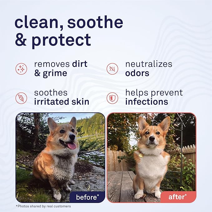 Petpost Grooming Wipes for Dogs | 70 Count Large Deodorizing Dog Cleaning Wipes with Coconut Extract & Aloe | Gentle Pet Wipes with Cherry Blossom Scent for Full-Body Grooming