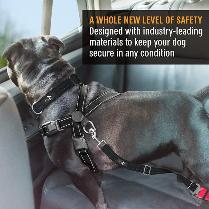 Active Pets Blue Car Seat Belt for Dogs, Attaches to Harness & Collar, Adjustable 18" - 24" Travel Restraint System Fits Small - Large Pups for Safety & Comfort, Essential Pet Supplies & Accessories
