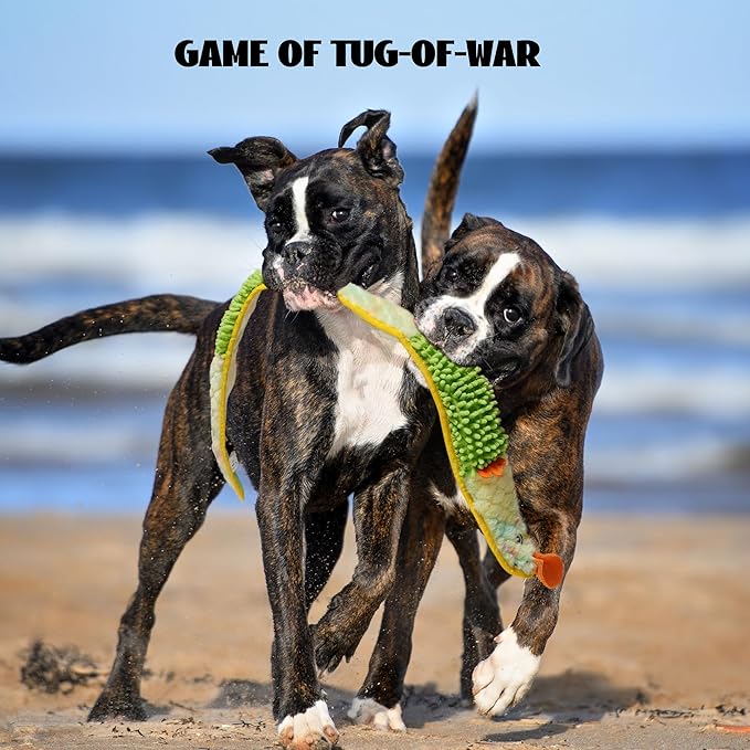 Nocciola EEL Squeaky Dog Toy, Tough No Stuffing Toy for Tug of War, Puppy Interactive Puzzle Fun to Keep Them Busy, Cognitive Crinkle Dog Toy for Large Medium Small Breed, Yellow