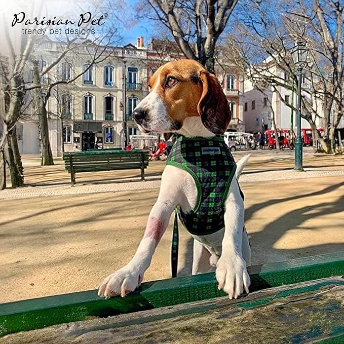 Parisian Pet Dog Harness - Adjustable Bright Green Dog Vest Harness - No Choke, Padded, No Pull Dog Harness Medium-Sized Dog - Cooling Dog Harness for Walking, Running, and Hiking - Puppy Harness - M