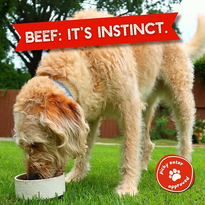 Beg & Barker Beef Dog Food Toppers (8 Ounce, Pack of 1) – 100% Made in USA Single Ingredient Meal Topper for Picky Eaters – Meal Enhancer with Whole Beef Heart – Meal Mixers for Dogs, Human Grade