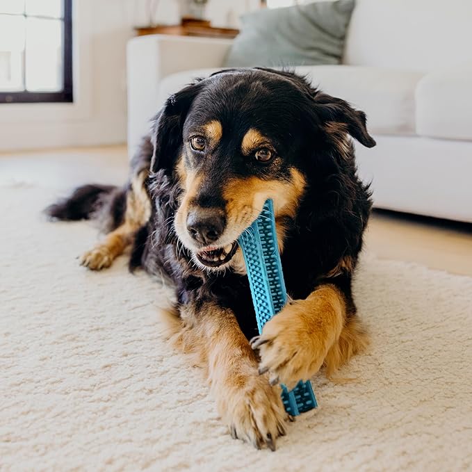 Playology Dog Toys | Dental Chew Stick Gentle on Gums | Jumbo Peanut Butter Scented Toy - Easy to Clean and Made from Non Toxic Materials