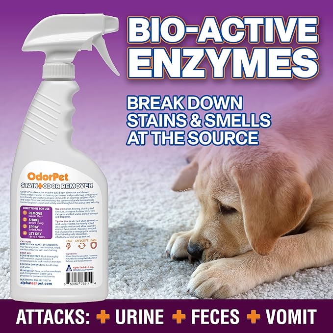 OdorPet Pet Stain Remover and Odor Eliminator - 16 Oz Ready To Use Spray, Non Staining, Professional Strength, Black Cherry Scent by Alpha Tech Pet