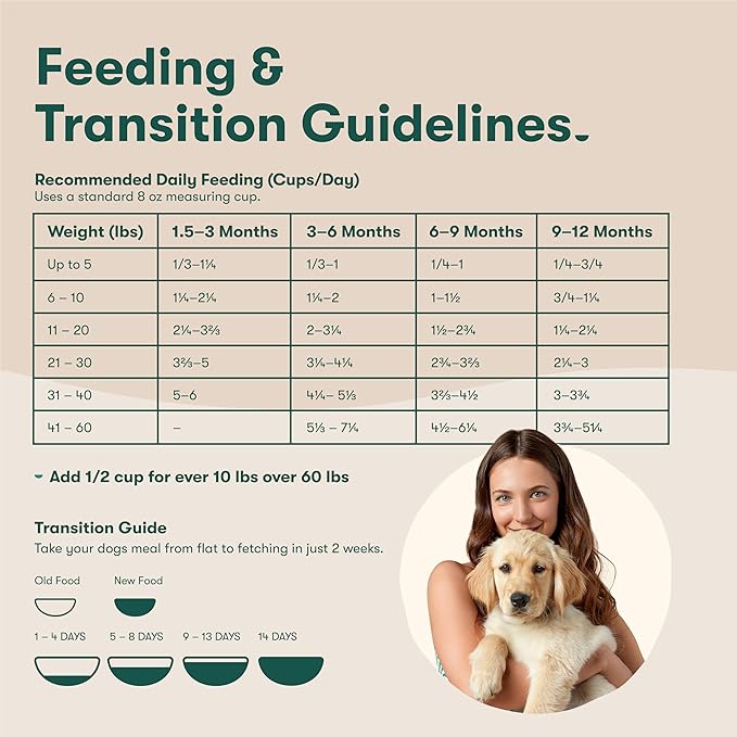 Jinx Premium Dry Dog Food, Puppy - Real Chicken, Brown Rice & Sweet Potato Kibble for Puppies with DHA, Protein & Calcium for Brain Health - Probiotics for Digestive Support - No Fillers - 4lb