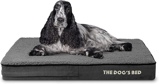 The Dog’s Bed Orthopedic Memory Foam Dog Bed, Dark Grey Plush Medium, Pain Relief for Arthritis, Hip & Elbow Dysplasia, Post Surgery, Lameness, Supportive, Calming, Waterproof Washable Cover