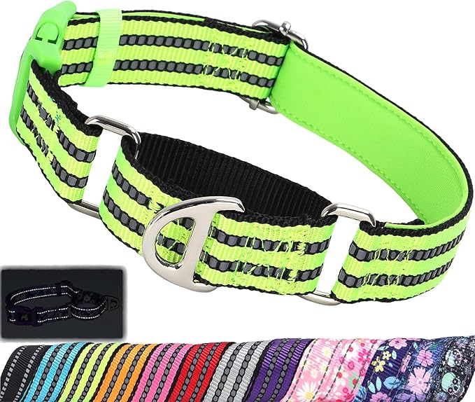 Martingale Collar for Dogs -Reflective Nylon No Slip Choke with Padded Comfort Heavy Duty Dog Collar with Quick Release Buckle for Training, Walking & Overexcited Pulling Green S