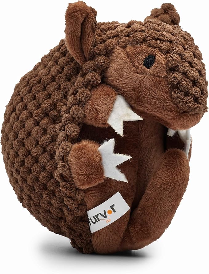 Flourish Pets 3 in 1 Multi-Layer Chew Toy for Active Dogs | Non-Toxic BPA Free Double Stitched Soft Fabric Exterior Dog Toys | Long-Lasting Dog Plush Toys – Small Armadillo 5.5"