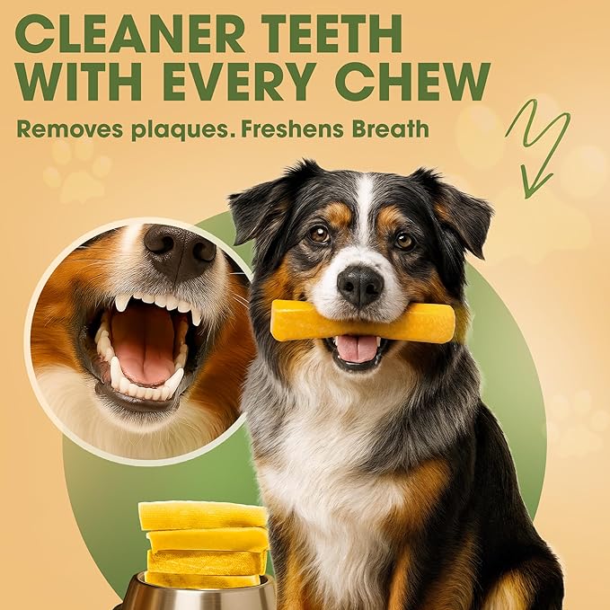 Yak Cheese Himalayan Dog Chews, High Protein, Natural Dog Treats Small Dogs, Lactose Free Chew Sticks for Aggressive Chewers, Long Lasting Pet Treat for Dogs Under 15 lbs, 9 Small Chews