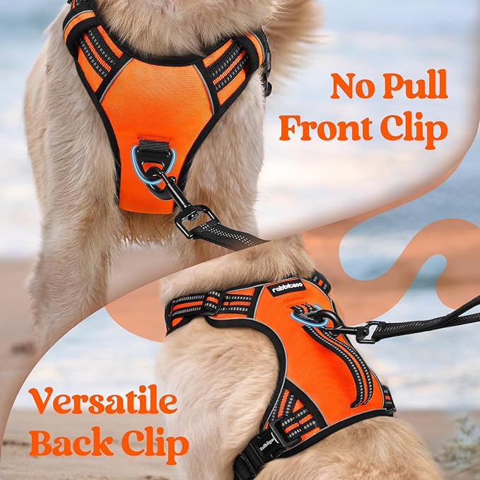 rabbitgoo Dog Harness Medium Sized, No Pull Pet Harness with Soft Padded Handle, Adjustable Reflective Vest with 3 Buckles, Easy Walking Harness with 2 Leash Clips, Orange, XL