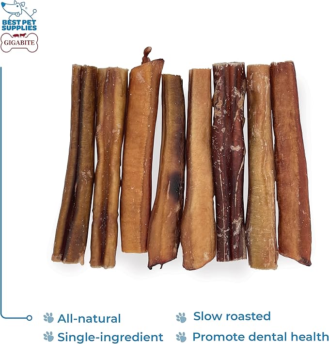 GigaBite Single Ingredient All Natural Free Range Bully Treats and Chews - Bully Sticks/Bladder Sticks/Beef Esophagus by Best Pet Supplies - Bully Sticks (Premium 6"), Pack of 8