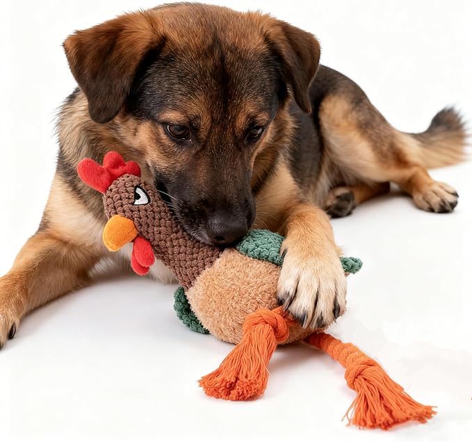 Plush Rooster Dog Toy with Squeaker, Interactive Rope Legs for Small and Medium Dogs, Multicolor Tug and Fetch Chew Toy