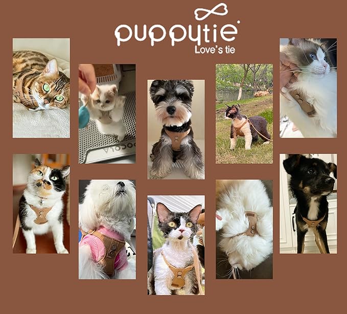 No Pull Dog Harness with Multifunction Dog Leash,Soft Adjustable No Choke Escape Proof Pet Harness Vest for Medium Dogs or Large Dogs,Khaki Camel,XXS