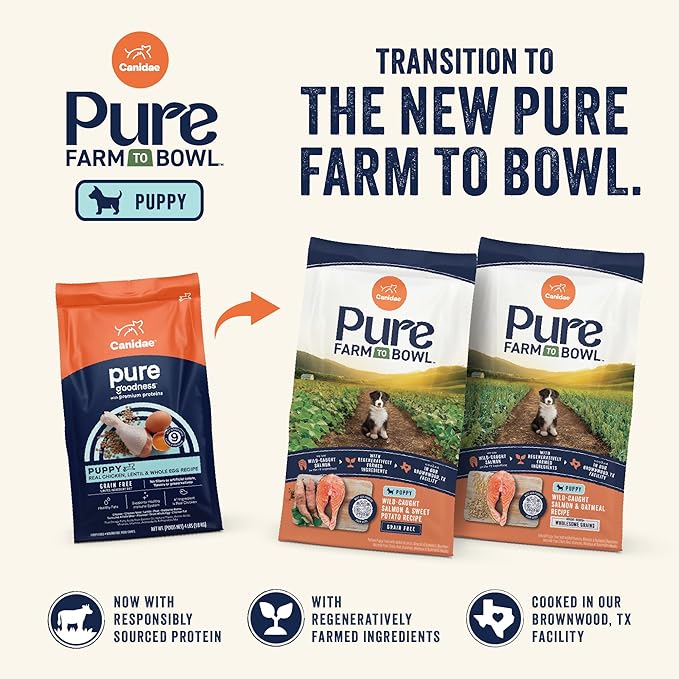 Canidae Pure Limited Ingredient Premium Puppy Dry Dog Food, Real Chicken, Lentil & Whole Egg Recipe, 12 lbs, Grain Free