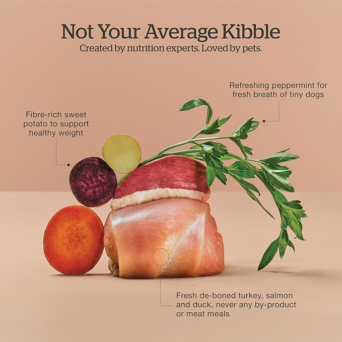 Now Fresh Grain-Free Small Breed Senior Dry Dog Food with Turkey, Salmon & Duck, Premium Kibble Made with Real Meat & Fish, Chicken-Free, Added Glucosamine & Chondroitin for Healthy Joints, 22 lb Bag