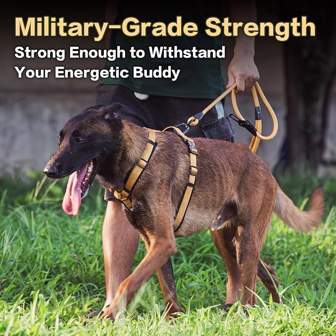 PawsPassion Dog Harness for Small Dogs, No Pull Dog Harness Easy Walk with Metal Hardware, Ergonomic Y-Shaped Design, Soft Padding, Padded Handle, Durable High-Tensile Nylon (Sunrise, S)