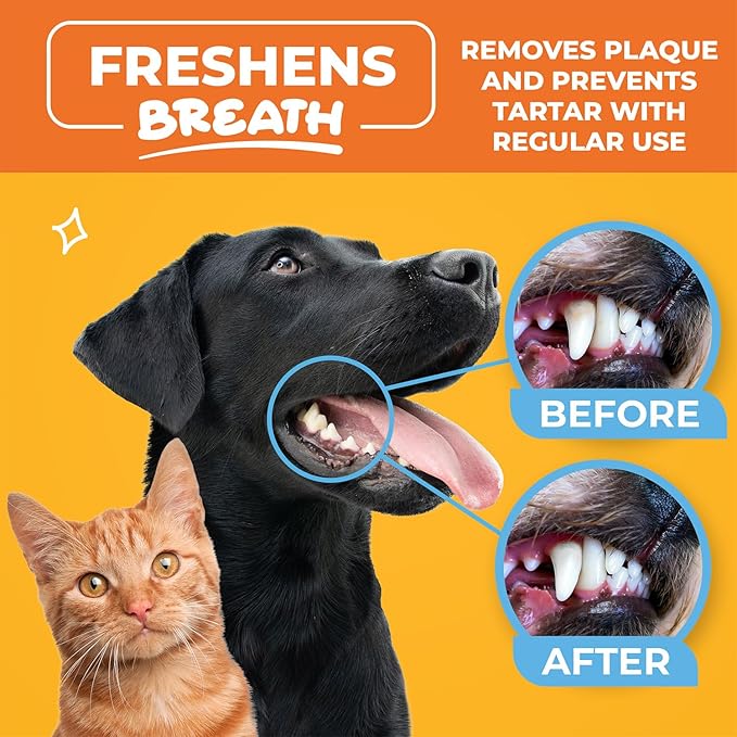 Dog & Cat Teeth Cleaning Wipes - Dental Finger Wipes for Cats & Dogs - Pet Toothbrush & Tooth Brushing Kit - Effective Teeth Cleaner (Mint)