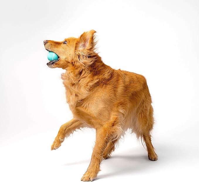 Playology Dog Toys | Squeaky Chew Ball - Bouncy Durable Floating Fetch Ball for Dogs | Medium Peanut Butter Scented Toy - Easy to Clean and Made from Non Toxic Materials