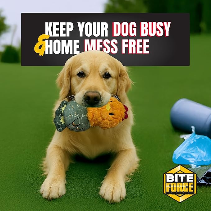 Bite Force -Durable & Strong Dog Toy Rooster with Squeaker, Kevlar-Reinforced for Aggressive Chewers for Small Medium Large Dogs - Green.