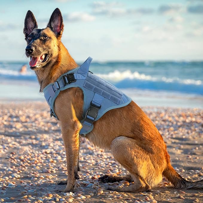 rabbitgoo Tactical Dog Harness for Large, Heavy Duty Pet Harness with Handle, No-Pull Service Vest Large Breed, Adjustable Military Dog Vest for Training Hunting Walking, Blue, L