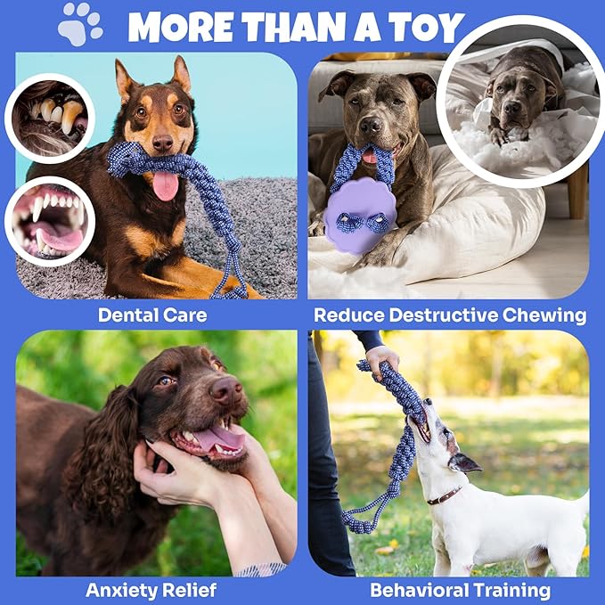 Interactive Dog Frisbee Rope Toy – Tough 2-in-1 Flying Disc & Rope Chew Toy for Medium/Large Dogs, Outdoor Training & Fetching, Purple & Blue