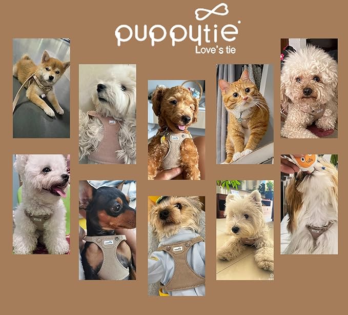 Puppytie No Pull Small Dog Harness with Multifunction Dog Leash, Lightweight Soft Adjustable No Choke Escape Proof Pet Harness Vest, Denim Mocha Brown