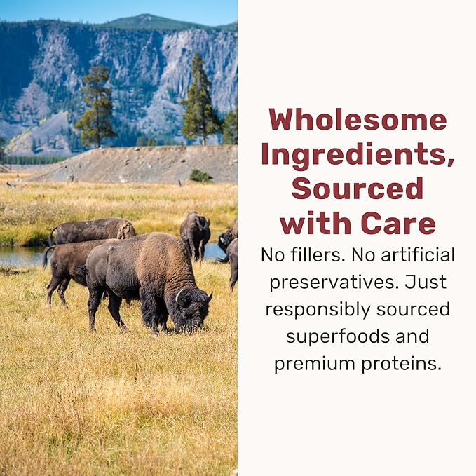 Superfood Nuggets- Premium, Freeze-Dried raw Dog Food Topper or Treat. Powerful Nutrient-Dense Ingredients. No Artificial additives. Bison and Kale Formula 8oz - 4pk Bundle