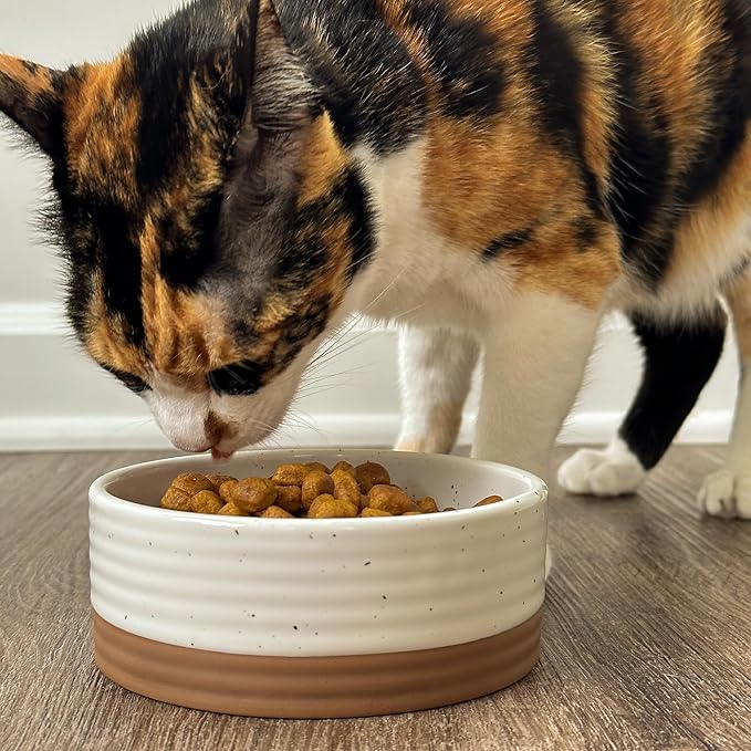 Mora Ceramic Pet Bowl Size Small - Food/Water Dish for Puppy Dogs, Cats, Guinea Pig, Rabbit, Hamster, Snake, ect. 11oz or 2 Cups - Basic Bowls for Your Dog or Cat, Mix and Match for a Set - Vanillla