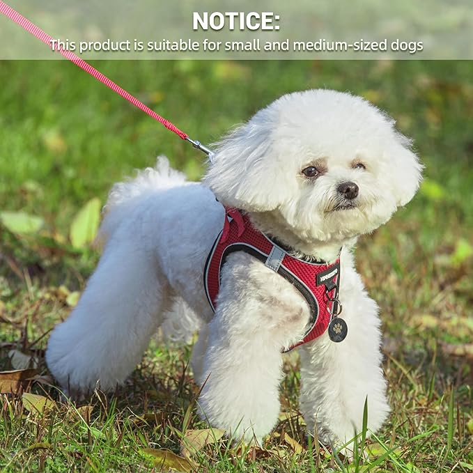 Dog Harness and Leash Set, Dog Harness for Dogs No Pull, No-Chock Step-in Reflective Breathable Lightweight Easy Walk Vest Harnesses with Safety Buckle for Small Medium Dogs, Cats (Red, L)