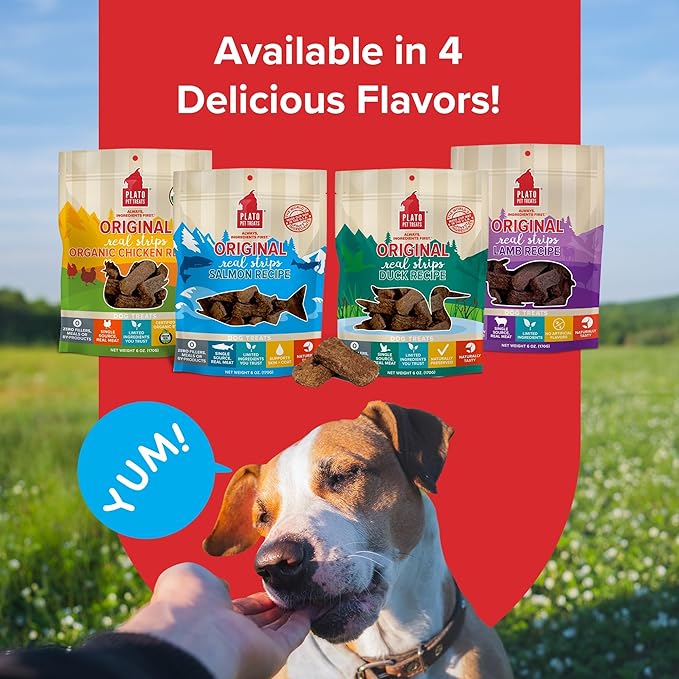 Plato Original Real Strips Salmon 18oz