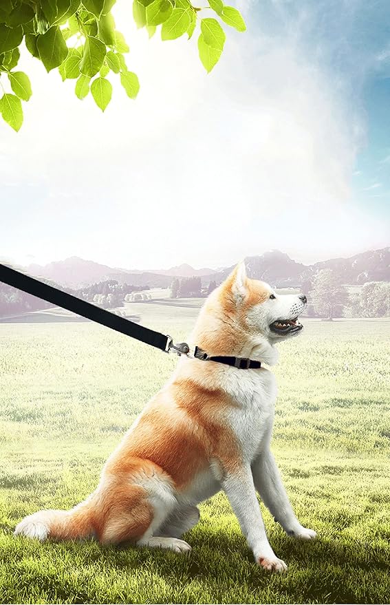 PETGOGO 15ft 20ft 30ft 40ft 50ft Long Dog/Puppy Lead Obedience Recall Training Dog Leashes for Small Medium Dogs Camping, Training, Play, or Backyard (15 FT, Black)