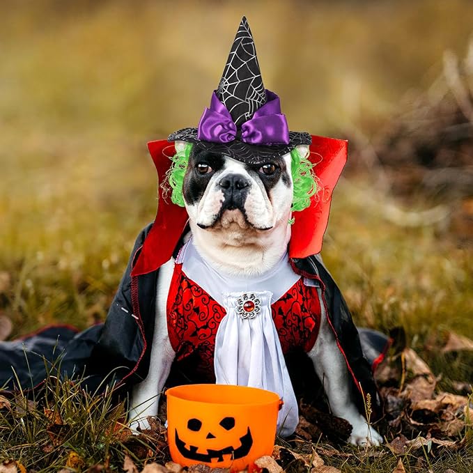 Halloween Witch Hat for Pet Cat Small Dog Puppy - Cat Witch Hat with Funny Wig - Black Polyester Cosplay Decor, Party Costume Accessory