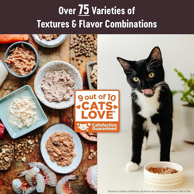 Wellness CORE Tiny Tasters Pate Adult Wet Cat Food, Natural, Protein-Rich, Grain Free, 1.75-Ounce Pouch, 12 Pack, (Seafood Variety Pack)