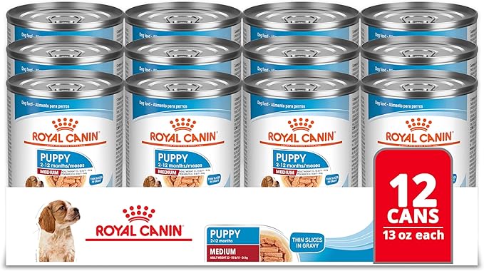Royal Canin Size Health Nutrition Medium Puppy Thin Slices in Gravy Dog Food, 13 oz (Pack of 12)