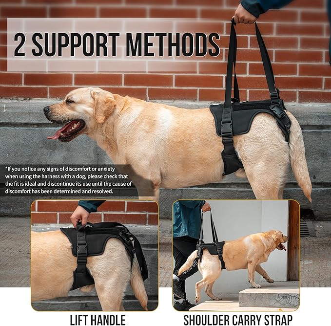 OneTigris Victus Support Harness,Lightweight & Simple Mobility Assistance Vest with Grab Handle | Pet Lifting Rehabilitation Gear | Rear Leg Support Straps