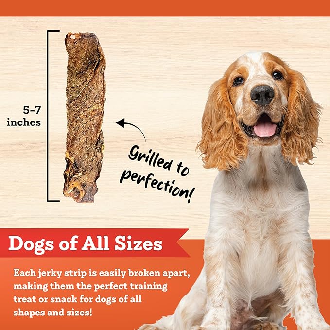 Bacon Jerky Strips Dog Treats, 16 oz – All-Natural, Made in USA, No Fillers or Preservatives – Great Source of Protein