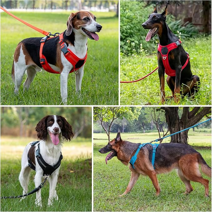 Plutus Pet No Pull Dog Harness, Release at Neck, Soft Padded, Reflective Adjustable Dog Vest Harness for Small, Medium, Large Dogs(Hot Pink, M)