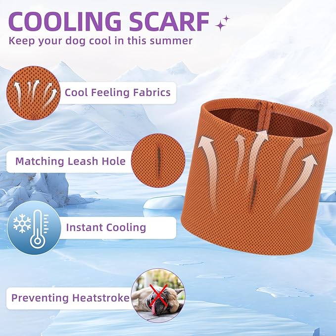 PUPTECK Adjustable Dog Harness Collar and Leash Set Step in No Pull Pet Harness for Small Medium Dogs Puppy and Cats Outdoor Walking Running, Soft Mesh Padded Reflective Vest Harnesses, GreenYellow XS