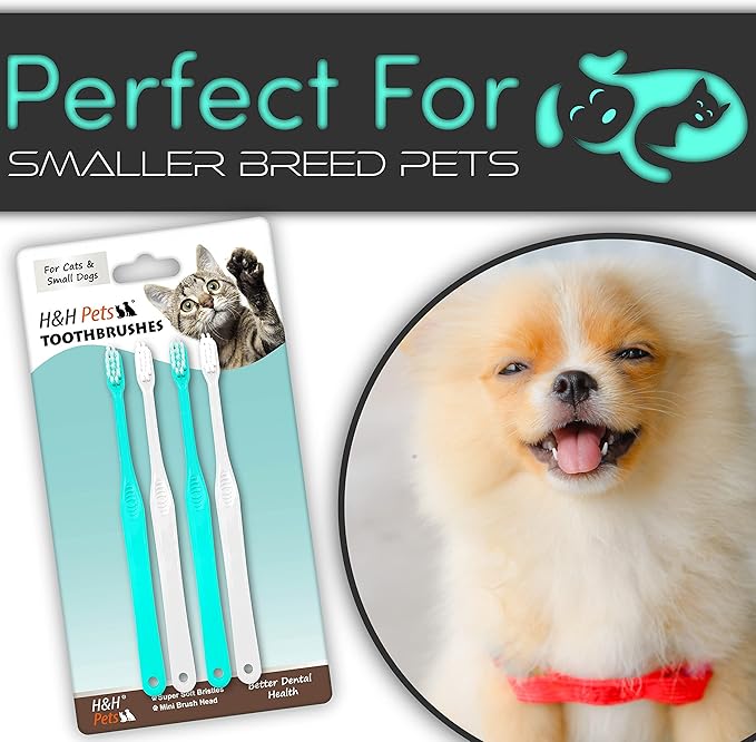 H&H Pets Toothbrush for Small Dogs & Cats - Soft and Extra Small Toothbrush Designed for Cats, Puppies, and XS Breed Dogs Like Teacups, Chihuahuas, Yorkshire, and Poodle, 4 Count Pack
