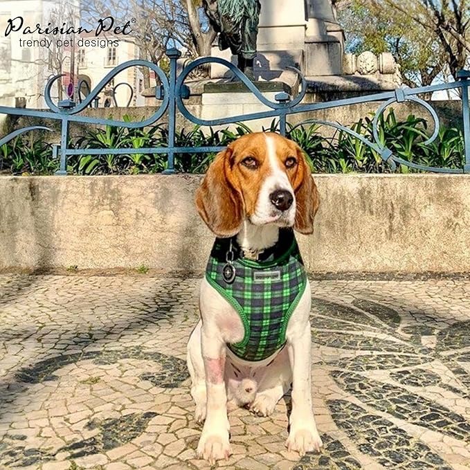 Parisian Pet Adjustable Plaid Green Dog Vest Harness - No Choke, Padded, No Pull - Small-Sized Dog - Cooling for Walking, Running, Hiking - Puppy
