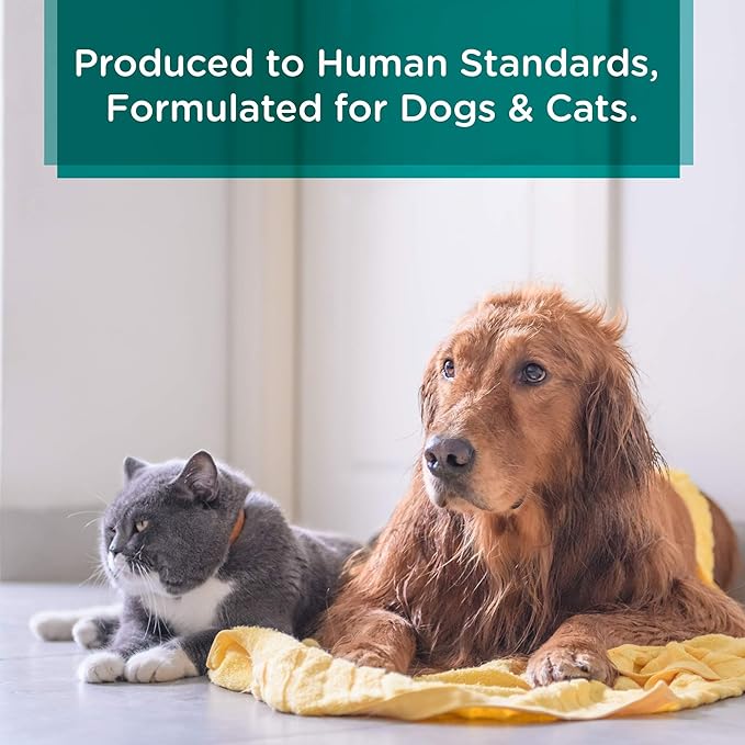 Lillian Ruff PRO Formula Oatmeal Dog Conditioner - Nourishing & Calming Relief for Allergies & Sensitive Skin - Detangles, Softens & Adds Shine with Oatmeal, Coconut Oil & Lavender - USA (Gallon+Pump)