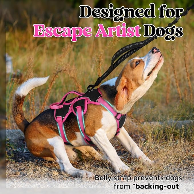 rabbitgoo Escape Proof Dog Harness Small Sized Dog, Soft Padded Full Body Pet Harness, Reflective Adjustable Vest with Lift Handle and Leash Clip for Walking Hiking Training, Pink & Black, S
