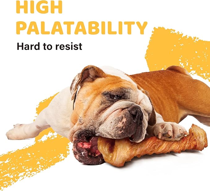 iPaw Turkey Tendon for Dogs, Ingredient Sourced from USA, Hypoallergenic, All Natural Human Grade Puppy Chew, Dog Treats for Signature Series, Rawhide Alternative, 2 Units/Pack Bone (Medium)