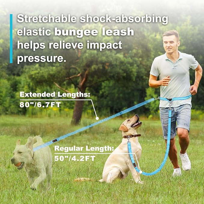 Hands Free Dog Leash, Adjustable Waist Leash for Dog Walking, Dual Handle Bungee Dog 4.2-6.7 Feet Long with Reflective Stitches for Walking Hiking Running, Fits 26"- 43" Inch Waist, Blue