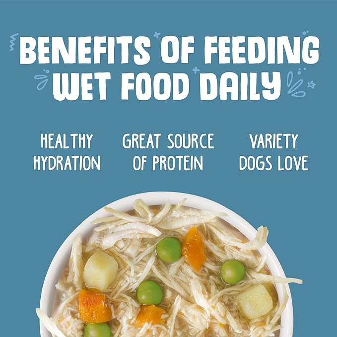 Weruva Classic Dog Food, Grandma's Chicken Soup with Chicken Breast & Veggies, 14oz Can (Pack of 12), Teal (878408004568)