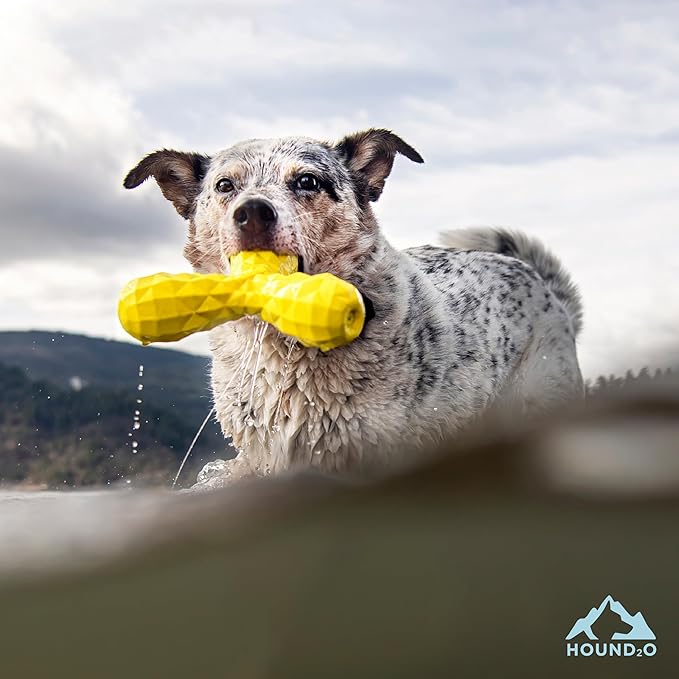 Playology Hound2O Dog Toys | Squeaky Boomerang Floating Toy for Dogs | Yellow Outdoor Toy - Easy to Clean and Made from Non Toxic Materials