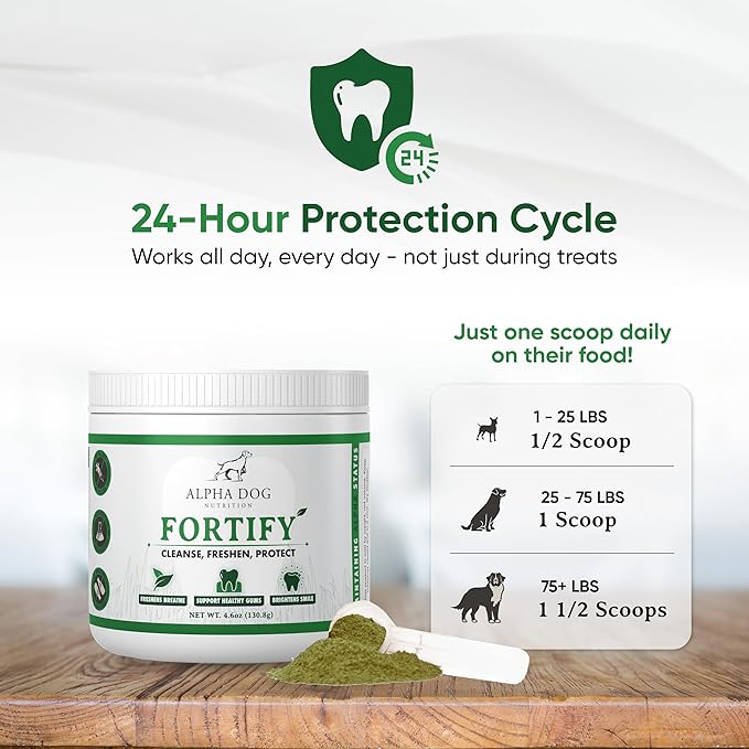Dog Teeth Cleaning Powder - Fortify Dental Powder for Dogs - Plaque Remover and Freshens Bad Breath with Fresh Green Supplements - Contains Kelp, Probiotics, and Other Tooth Cleaning Ingredients