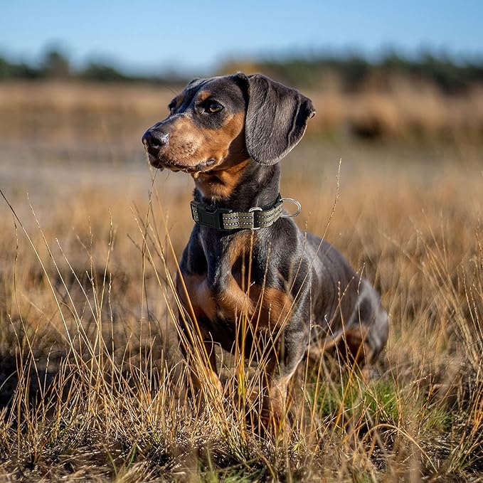 Hikiko Martingale Dog Collars Reflective Nylon Dog Collar with Quick Release Buckle Adjustable Training No Slip Dog Collar (Small, Brown)